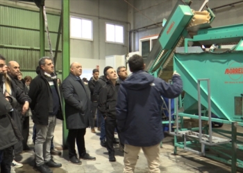El Molí de Can Sapera obre les portes dies abans de la Fira de l’Oli del Vallès