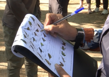 Un estudi amb participació del MCNG alerta del declivi dels ocells i les papallones