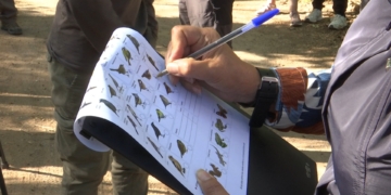 Un estudi amb participació del MCNG alerta del declivi dels ocells i les papallones