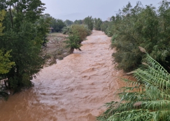 Científics del CSIC alerten de l’emergència climàtica i reclamen mesures urgents