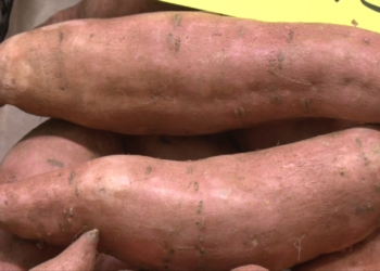 Augmenta la venda de carbasses, castanyes i moniatos a finals d’octubre