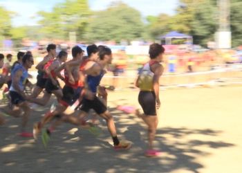El CA Canovelles es classifica per al Campionat d’Espanya de relleus mixtos